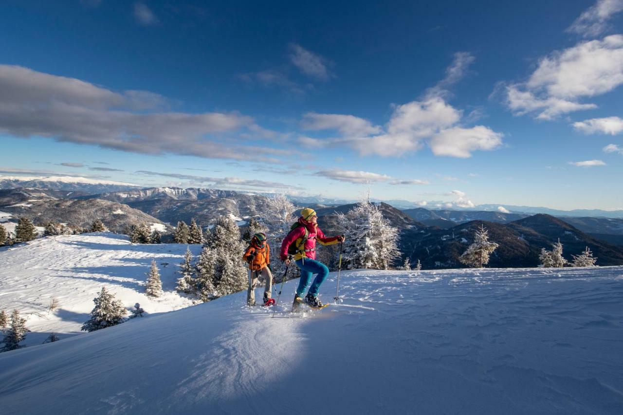 Luxury Chalet Kreischberg 11A Sankt Lorenzen ob Murau Eksteriør bilde